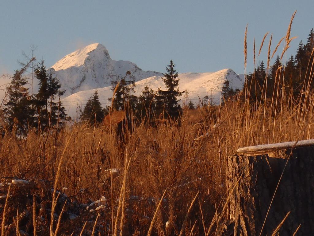 גולובינקה Chaty Tatra מראה חיצוני תמונה